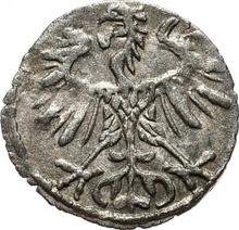 Denar 1553    "Lithuania"