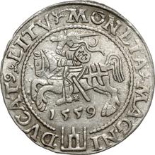 1 Grosz 1559    "Lithuania"
