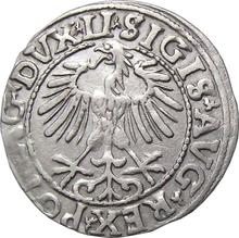 1/2 Grosz 1557    "Lithuania"