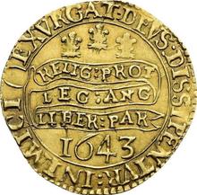 Unite 1643    "Shortened portrait"