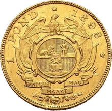 Pond (Transvaal) 1893   