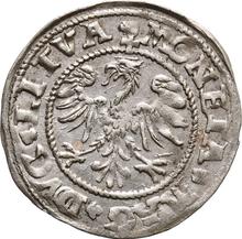 1/2 Grosz 1545    "Lithuania"