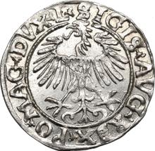 1/2 Grosz 1556    "Lithuania"