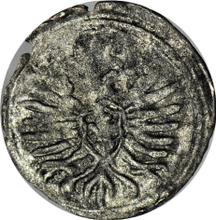 Ternar (trzeciak) 1603   