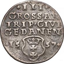 3 Groszy (Trojak) 1557    "Danzig"
