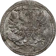 Ternar (trzeciak) 1613    "Danzig"