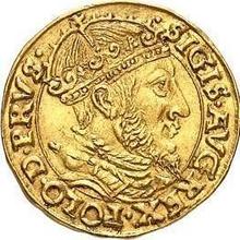 Ducat 1556    "Danzig"