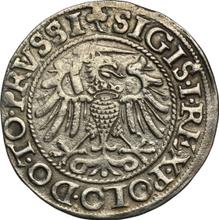 1 Grosz 1540    "Elbing"