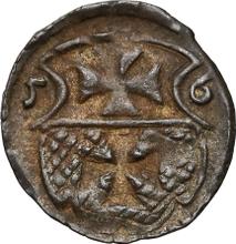 Denar 1556    "Elbing"