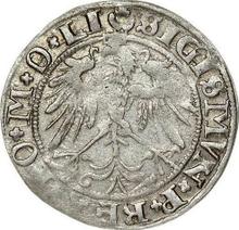 1 Grosz 1536  I  "Lithuania"