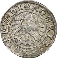 1/2 Grosz no date (no-date-1548)   