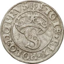 Schilling (Szelag) 1529    "Torun"