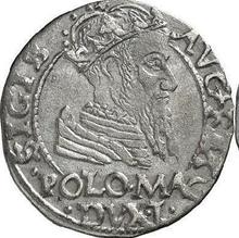 1 Grosz 1566    "Lithuania"