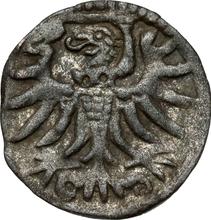 Denar 1555    "Elbing"