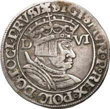 6 Groszy (Szostak) 1535  D  "Danzig"