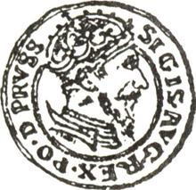 Ducat 1557    "Danzig"