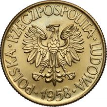 10 Zlotych 1958    "200th Anniversary of the Death of Tadeusz Kosciuszko" (Pattern)