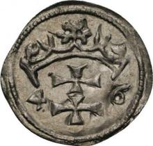 Denar 1546    "Danzig"