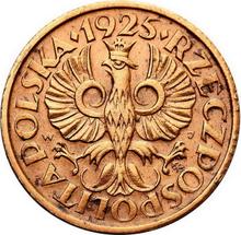 1 Grosz 1925   WJ (Pattern)