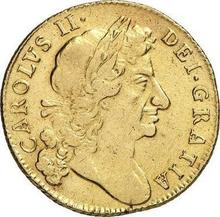 Guinea 1684    "Fourth laureate bust"
