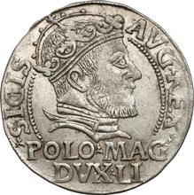 1 Groschen 1546    "Litauen"