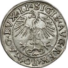 1/2 Grosz 1555    "Lithuania"