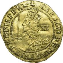 Unite 1645 OX   "Shortened portrait"