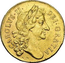 Two guinea 1684    "Second laureate bust"