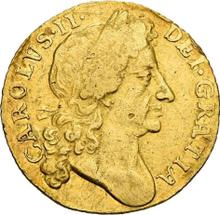 Half Guinea 1681    "Second laureate bust"