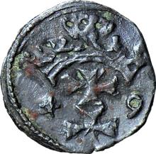 Denar 1549    "Danzig"