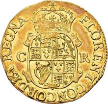 Double crown no date (no-date-1662)    "First issue"