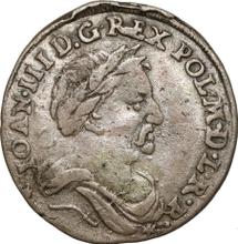 6 Groszy (Szostak) 1679  TLB 