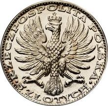 5 Zlotych 1928    "Black Madonna of Czestochowa" (Pattern)