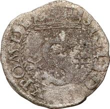 Schilling (Szelag) 1595  IF  "Wschowa Mint"