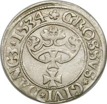 1 Grosz 1534    "Danzig"