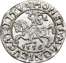 1/2 Grosz 1556    "Lithuania"