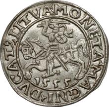 1/2 Grosz 1555    "Lithuania"