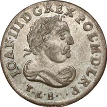 6 Groszy (Szostak) 1684  TLB 