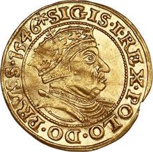 Ducat 1546    "Danzig"