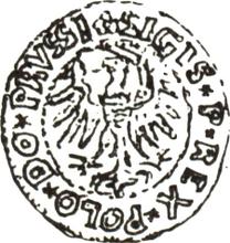 Schilling (Szelag) 1534    "Elbing"