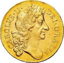 Two guinea 1682    "Second laureate bust"