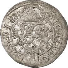 Schilling (Szelag) 1588  IF  "Poznań Mint"