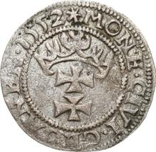 Schilling (Szelag) 1552    "Danzig"