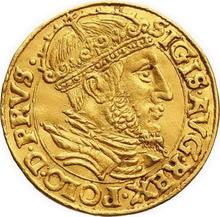 Ducat 1555    "Danzig"