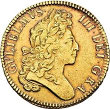 Five guineas 1699    "First laureated bust"