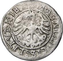 1/2 Grosz 1522    "Lithuania"