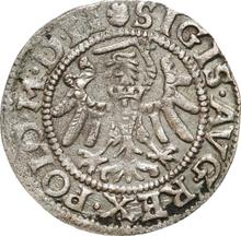 Schilling (Szelag) 1552    "Danzig"