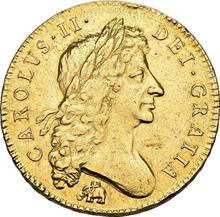 Five guineas 1684    "Second laureate bust"