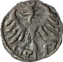 Denar no date (no-date-1548)  SP 