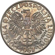 10 Zlotych 1967 MW  JMN "Marie Curie" (Pattern)